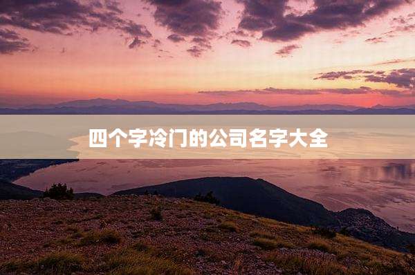 四个字冷门的公司名字大全