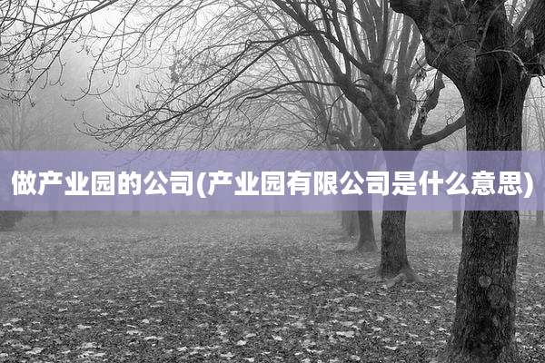 做产业园的公司(产业园有限公司是什么意思)
