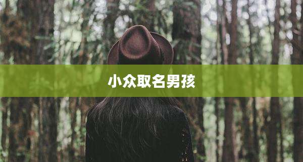 小众取名男孩