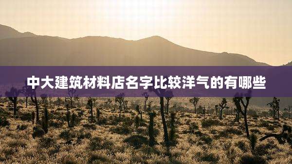 中大建筑材料店名字比较洋气的有哪些