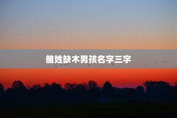 雒姓缺木男孩名字三字