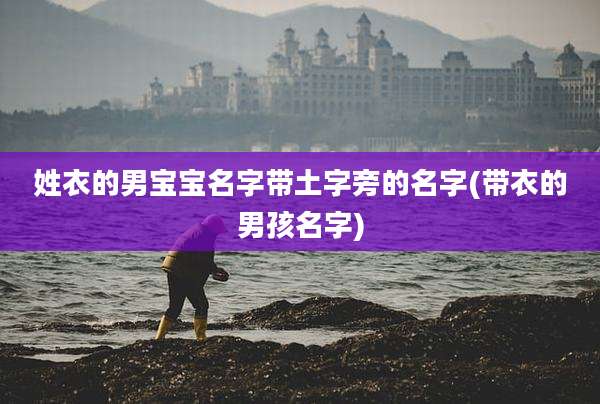 姓衣的男宝宝名字带土字旁的名字(带衣的男孩名字)