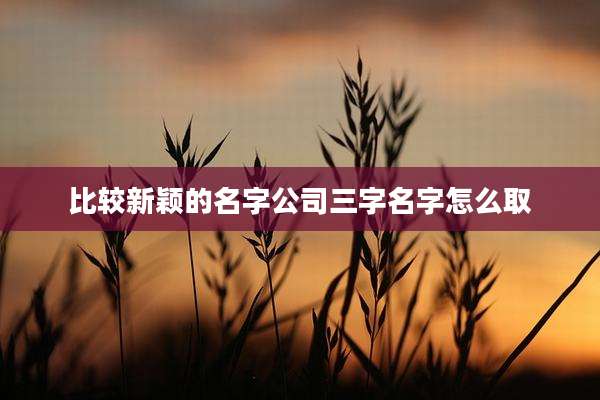 比较新颖的名字公司三字名字怎么取