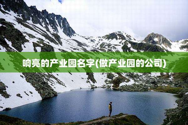响亮的产业园名字(做产业园的公司)