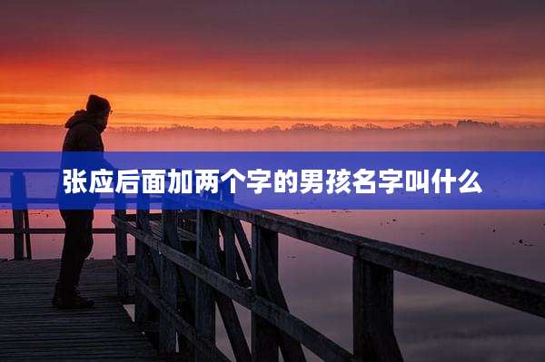 张应后面加两个字的男孩名字叫什么