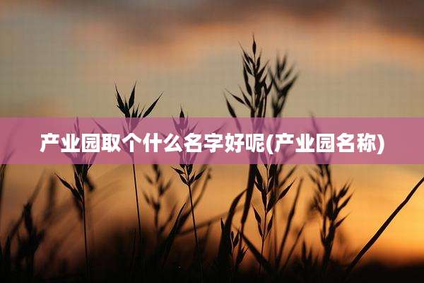 产业园取个什么名字好呢(产业园名称)