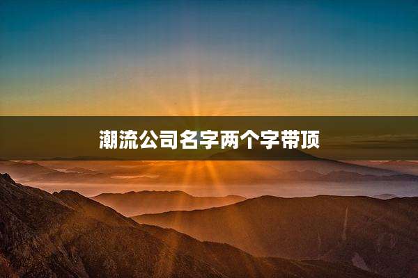 潮流公司名字两个字带顶