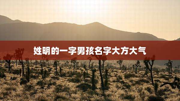 姓明的一字男孩名字大方大气