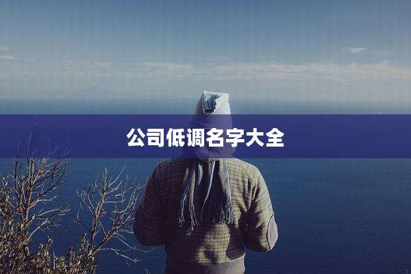 公司低调名字大全