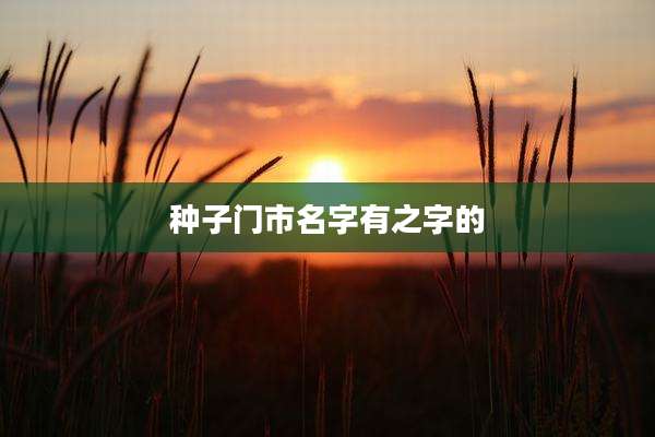 种子门市名字有之字的