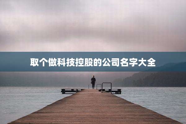 取个做科技控股的公司名字大全