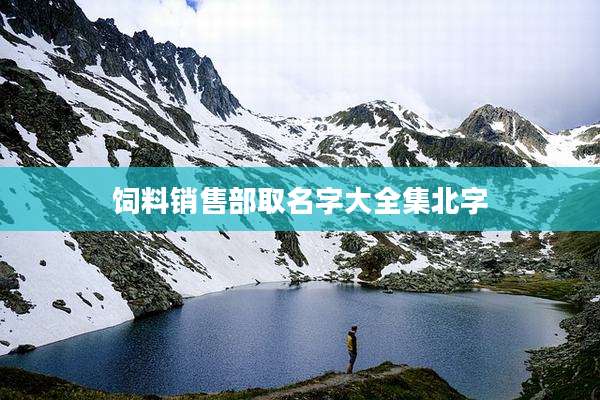 饲料销售部取名字大全集北字