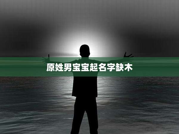 原姓男宝宝起名字缺木
