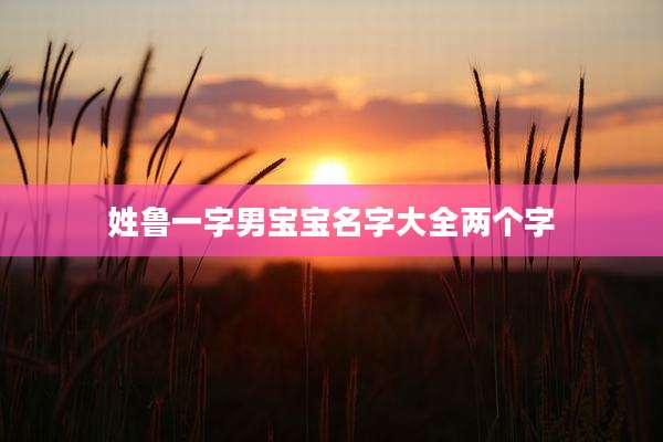 姓鲁一字男宝宝名字大全两个字