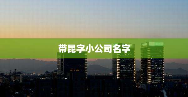 带昆字小公司名字