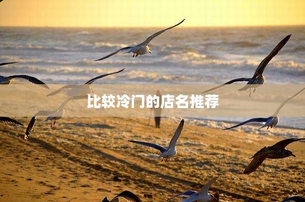 比较冷门的店名推荐