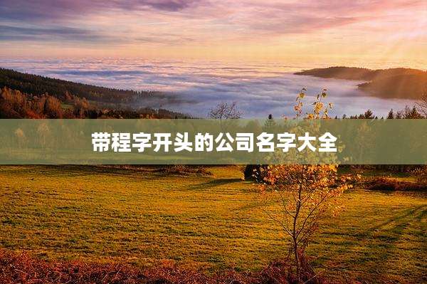 带程字开头的公司名字大全