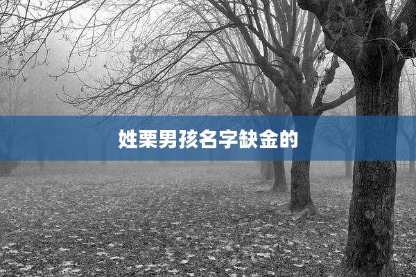 姓栗男孩名字缺金的