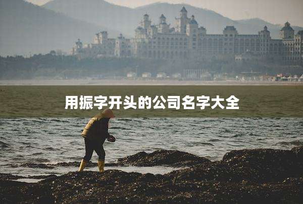 用振字开头的公司名字大全
