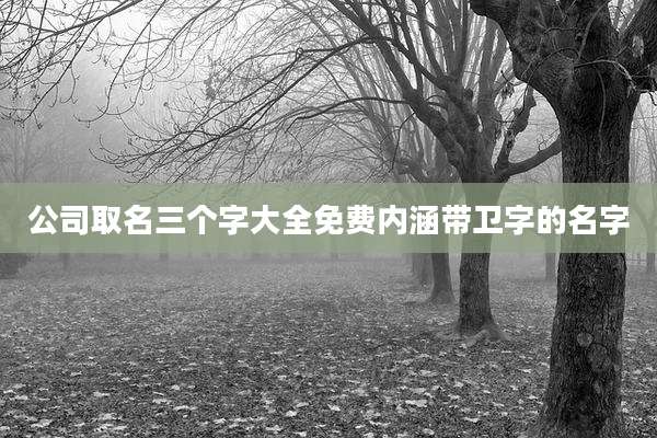 公司取名三个字大全免费内涵带卫字的名字