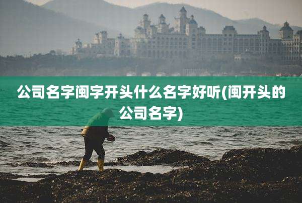 公司名字闽字开头什么名字好听(闽开头的公司名字)