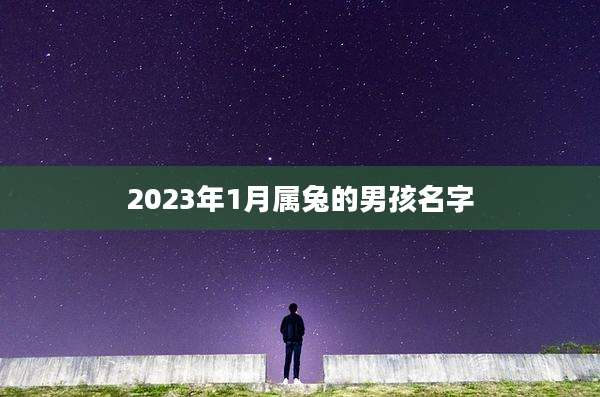 2023年1月属兔的男孩名字
