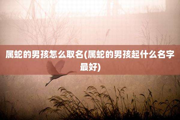 属蛇的男孩怎么取名(属蛇的男孩起什么名字最好)