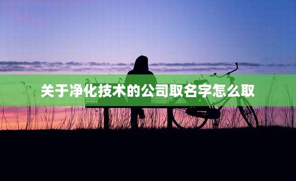 关于净化技术的公司取名字怎么取