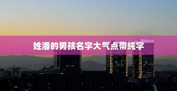 姓潘的男孩名字大气点带纯字