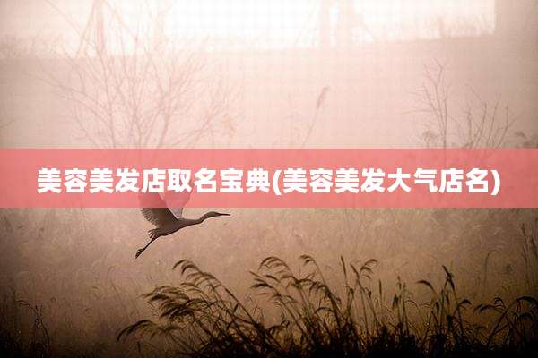 美容美发店取名宝典(美容美发大气店名)