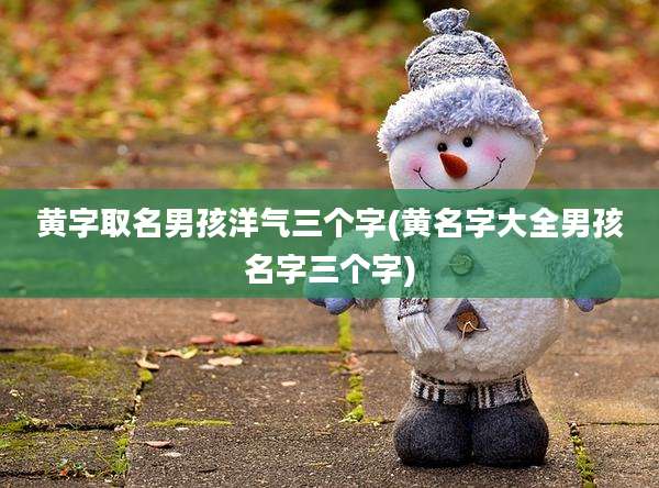黄字取名男孩洋气三个字(黄名字大全男孩名字三个字)