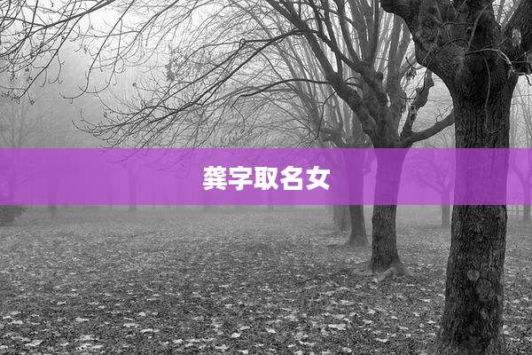 龚字取名女
