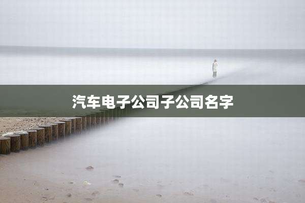 汽车电子公司子公司名字