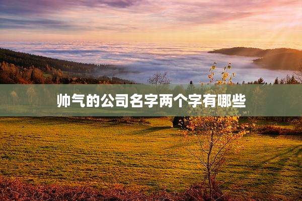 帅气的公司名字两个字有哪些