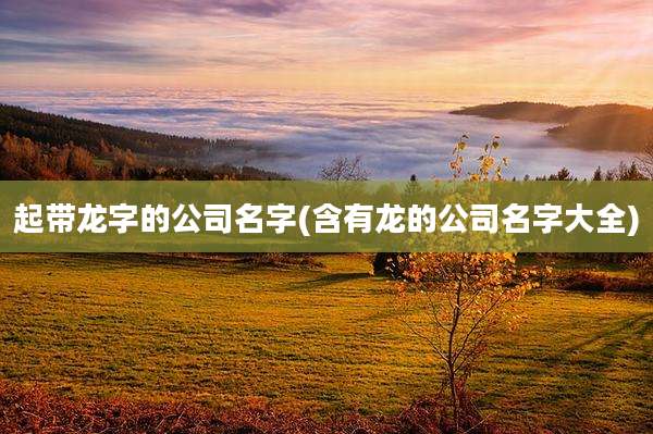 起带龙字的公司名字(含有龙的公司名字大全)