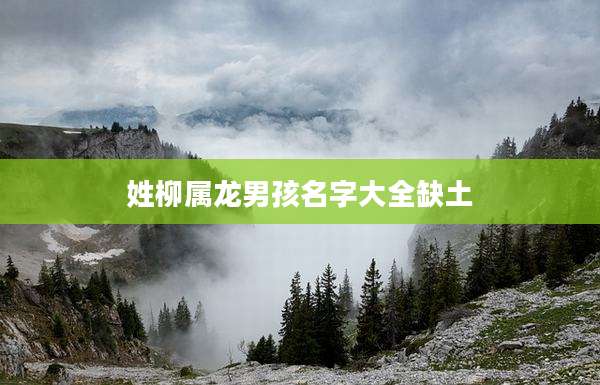 姓柳属龙男孩名字大全缺土