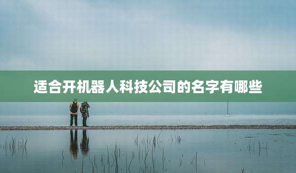 适合开机器人科技公司的名字有哪些