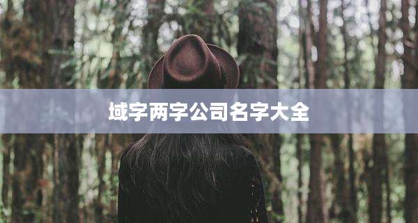 域字两字公司名字大全