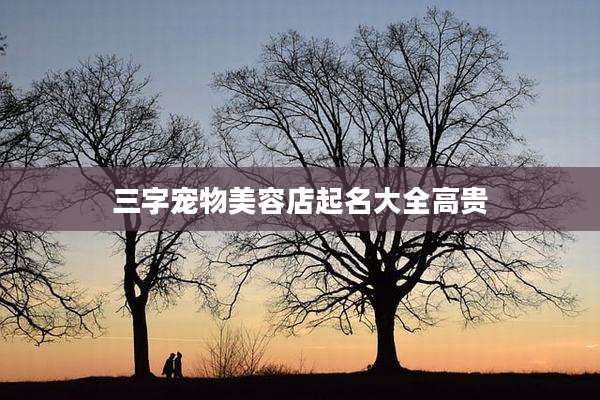 三字宠物美容店起名大全高贵