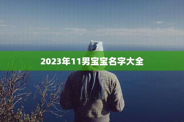 2023年11男宝宝名字大全