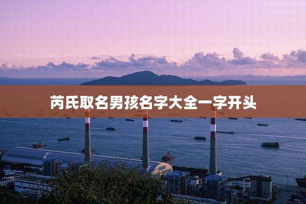 芮氏取名男孩名字大全一字开头