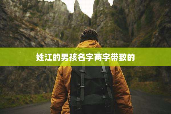 姓江的男孩名字两字带致的
