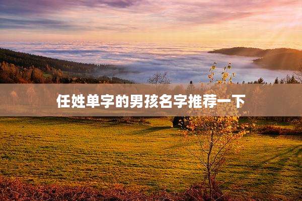 任姓单字的男孩名字推荐一下