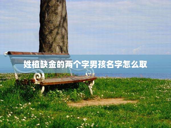 姓植缺金的两个字男孩名字怎么取