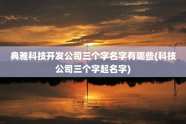 典雅科技开发公司三个字名字有哪些(科技公司三个字起名字)