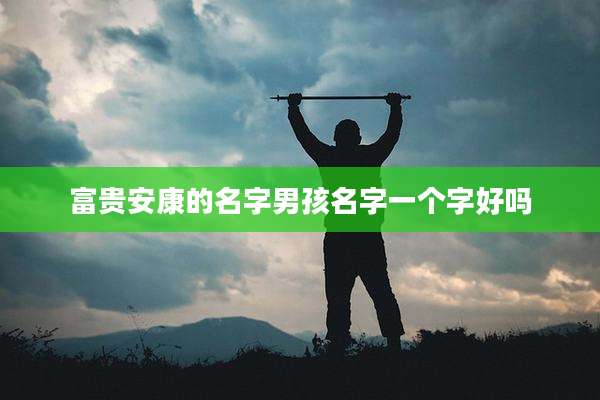 富贵安康的名字男孩名字一个字好吗