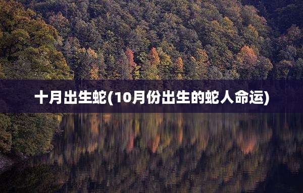 十月出生蛇(10月份出生的蛇人命运)