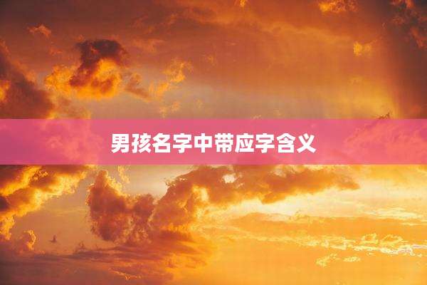 男孩名字中带应字含义