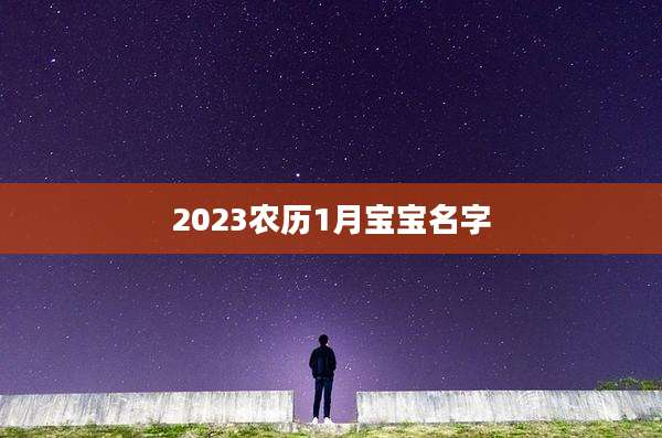 2023农历1月宝宝名字