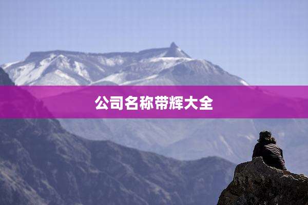 公司名称带辉大全